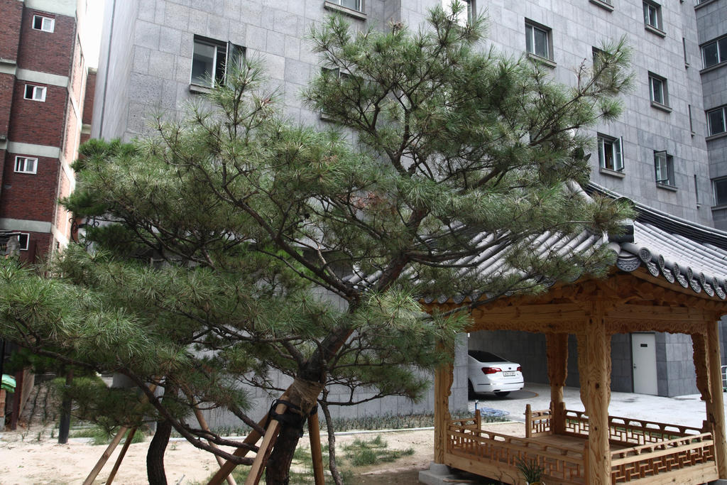 Fortune Hostel Jongno Seul Esterno foto